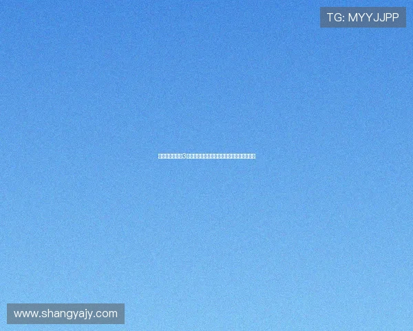 《拜见岳父大人3》：一场关于爱、家庭与成长的爆笑温情之旅